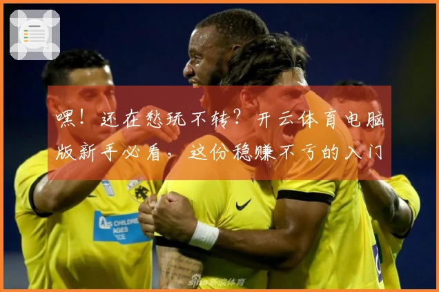 嘿！还在愁玩不转？开云体育电脑版新手必看，这份稳赚不亏的入门秘籍快收好！