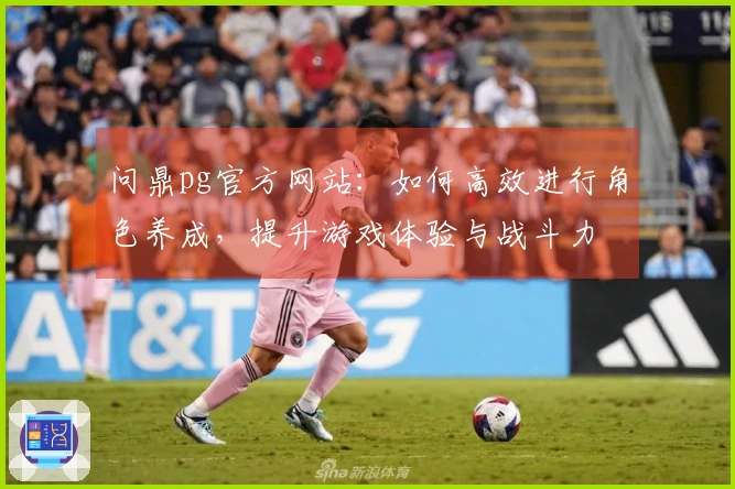 问鼎pg官方网站：如何高效进行角色养成，提升游戏体验与战斗力